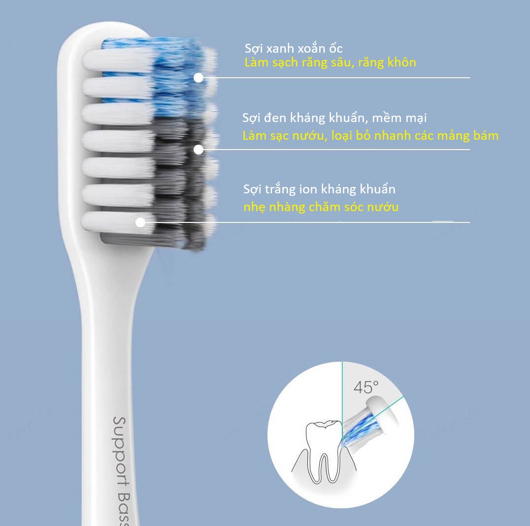 Những điều cần biết về bàn chải đánh răng của bạn