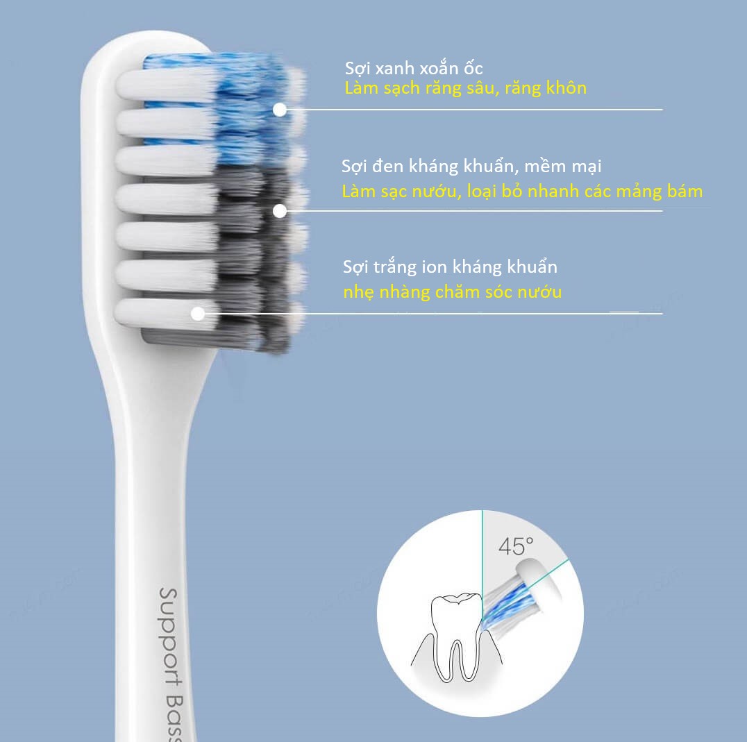 Những điều cần biết về bàn chải đánh răng của bạn Những điều cần biết về bàn chải đánh răng của bạn