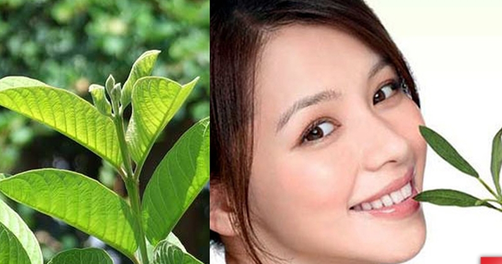 Thần dược giá rẻ trị bách bệnh đặc biệt các vấn đề răng miệng khiến ai cũng không ngờ tới Thần dược giá rẻ trị bách bệnh đặc biệt các vấn đề răng miệng khiến ai cũng không ngờ tới